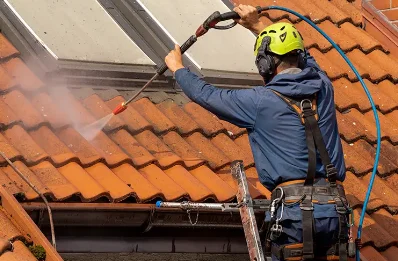 Démoussage et hydrofuge de toiture à Proveysieux